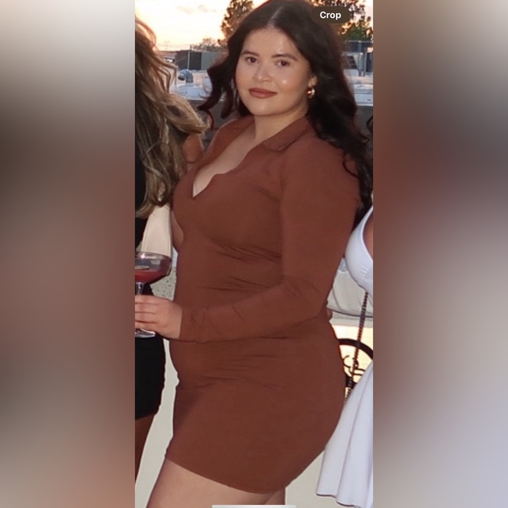 Aritzia Brown Long Sleeve Dress